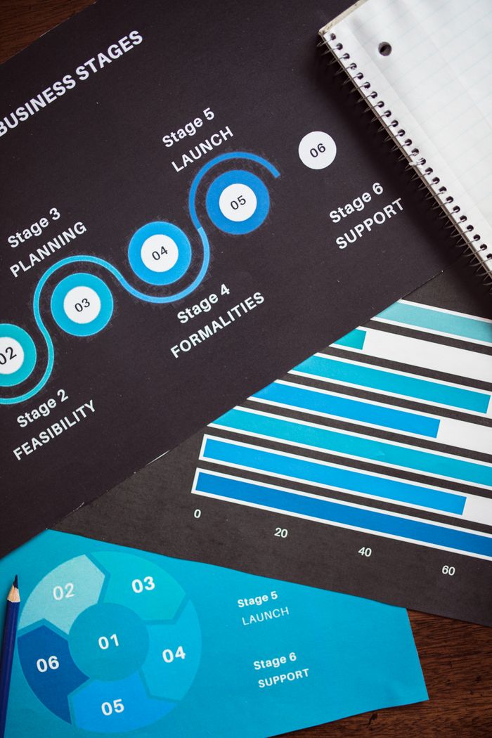 Detailed charts outlining key business stages for strategic planning.